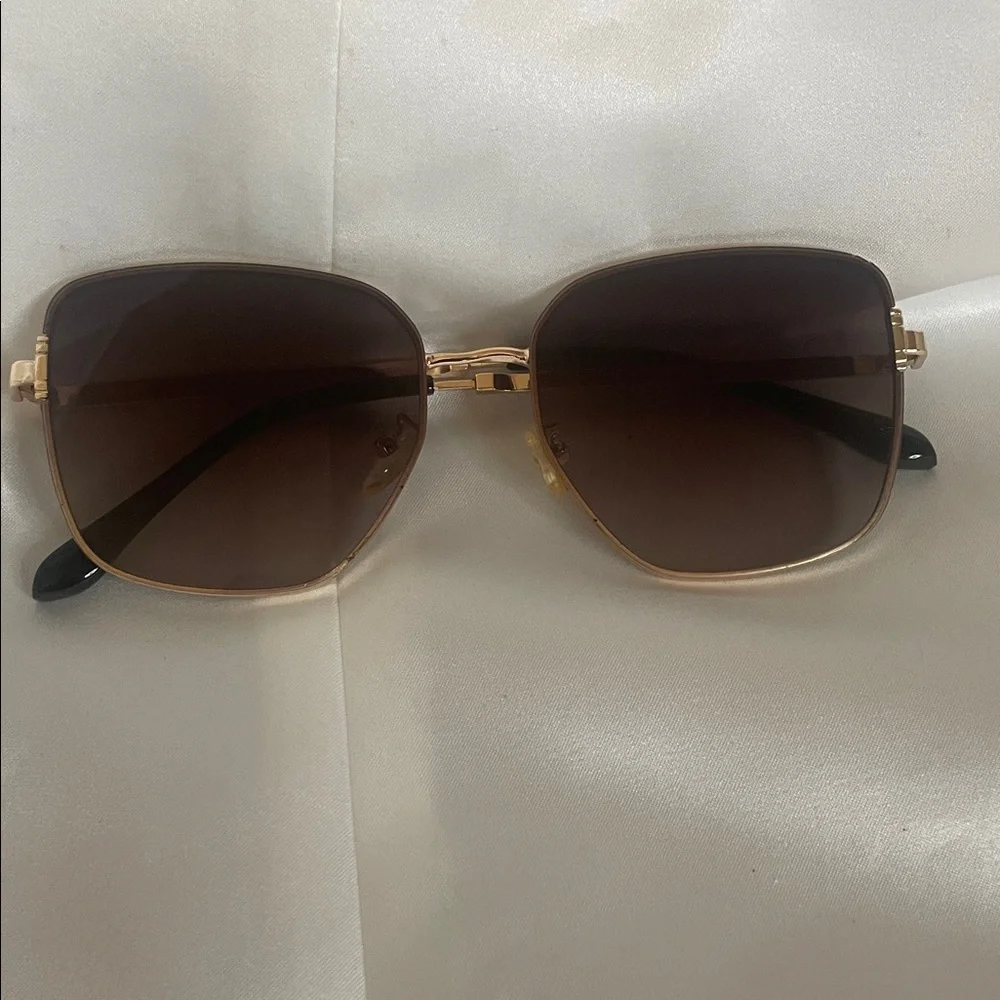 South Pole Gold Frame Sunglasses with Brown Lenses and Black Temple Tips